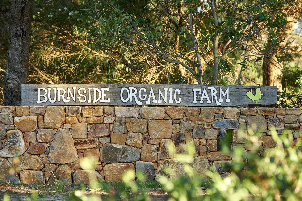 Burnside Organic Farm Villa Margaret River Exteriör bild